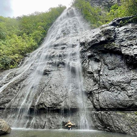 Mooz Lodge, The Local Discovery Afareaitu ภายนอก รูปภาพ